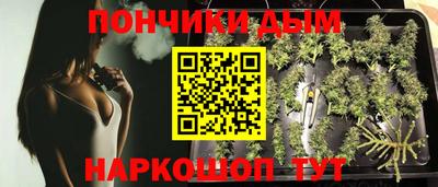 гидропоника Гусиноозёрск