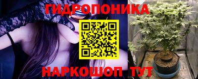 гидропоника Гусиноозёрск