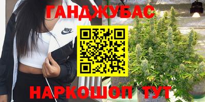 гидропоника Гусиноозёрск