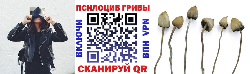 Галлюциногенные грибы мухоморы  Печора 