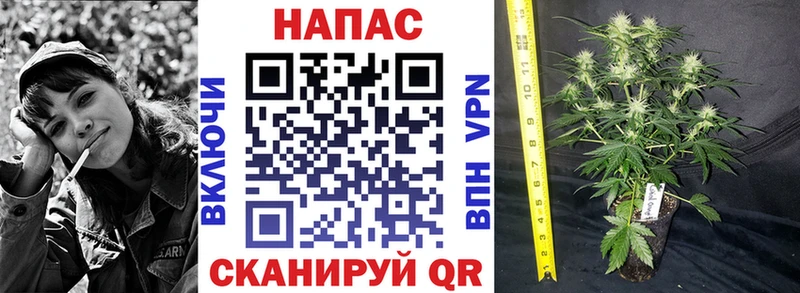 Шишки марихуана Bruce Banner Печора